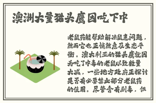 小兔子很大很软